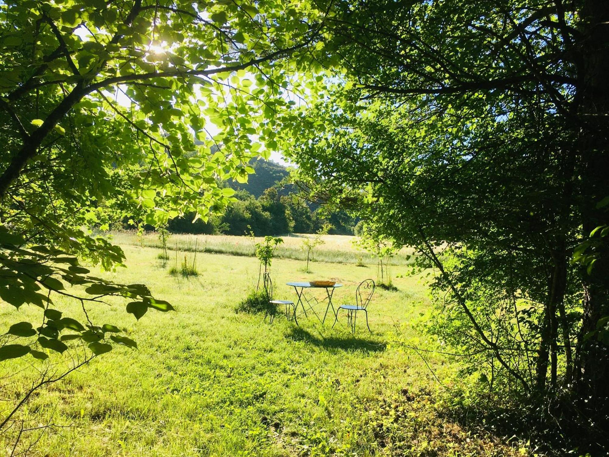 Le Moulin De La Viorne, Gite Avec Piscine Au Coeur De La Nature En Haute-Provence Les Omergues Exterior photo