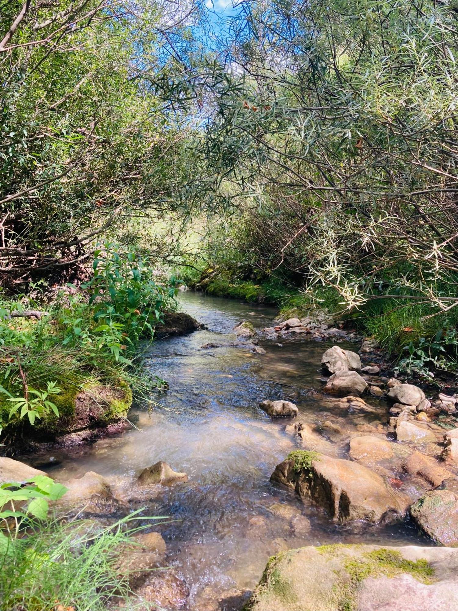 Le Moulin De La Viorne, Gite Avec Piscine Au Coeur De La Nature En Haute-Provence Les Omergues Exterior photo